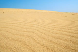 鳥取県で働く薬剤師の平均年収・時給は？